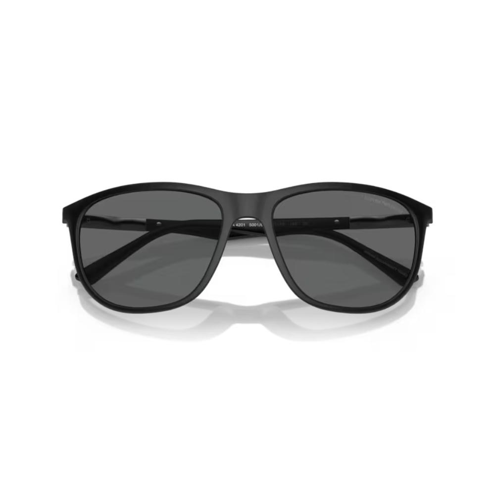 Regular Matte Black Sunglasses