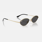 Oval Black Sunglasses