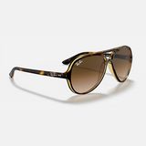 Pilot Havana Sunglasses