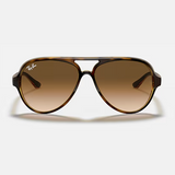 Pilot Havana Sunglasses