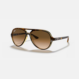 Pilot Havana Sunglasses