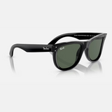 Wayfarer Black Sunglasses