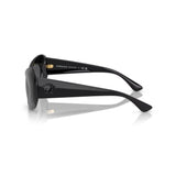 Oval Black Sunglasses