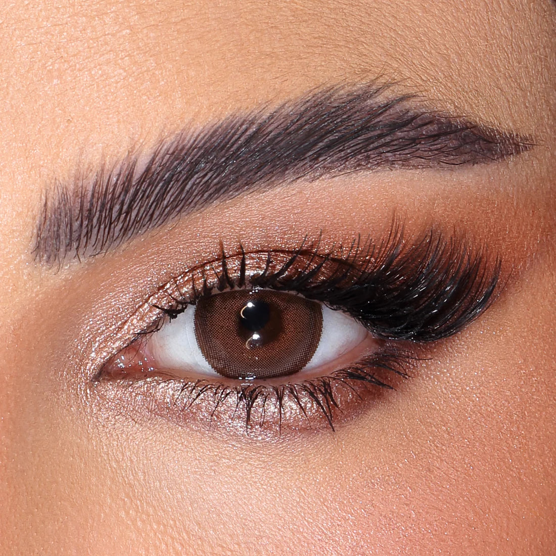 Color lenses Ginger Bread