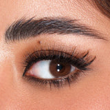 Color lenses Classic Brown