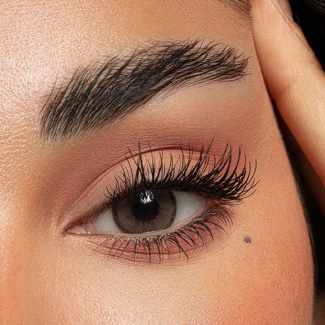 Color lenses monthly