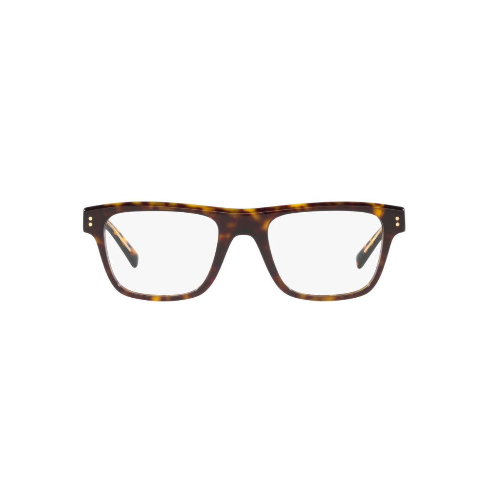 Square Havana Eyeglasses
