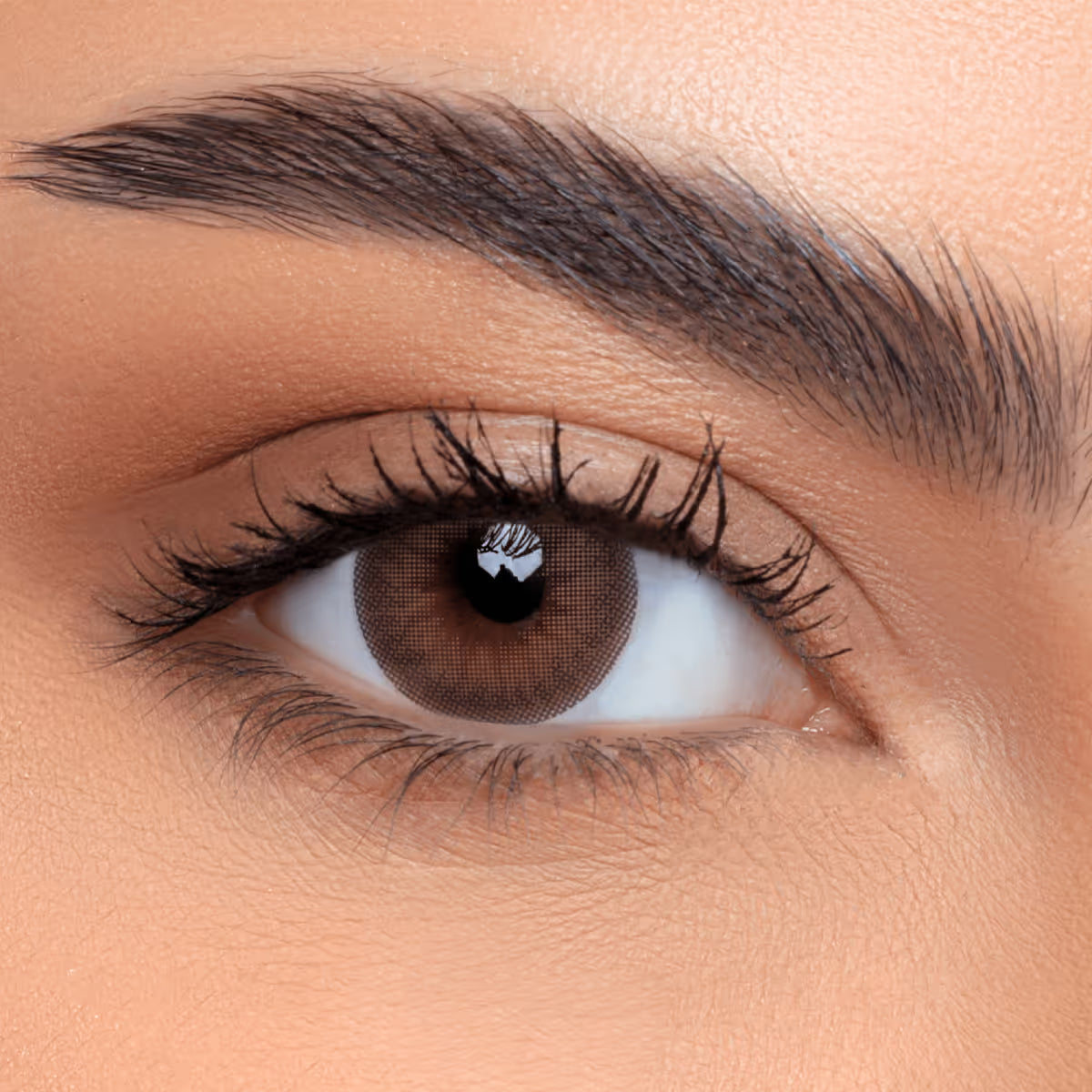 عدسات لاصقة ملونة للإستخدام الشهري - دول