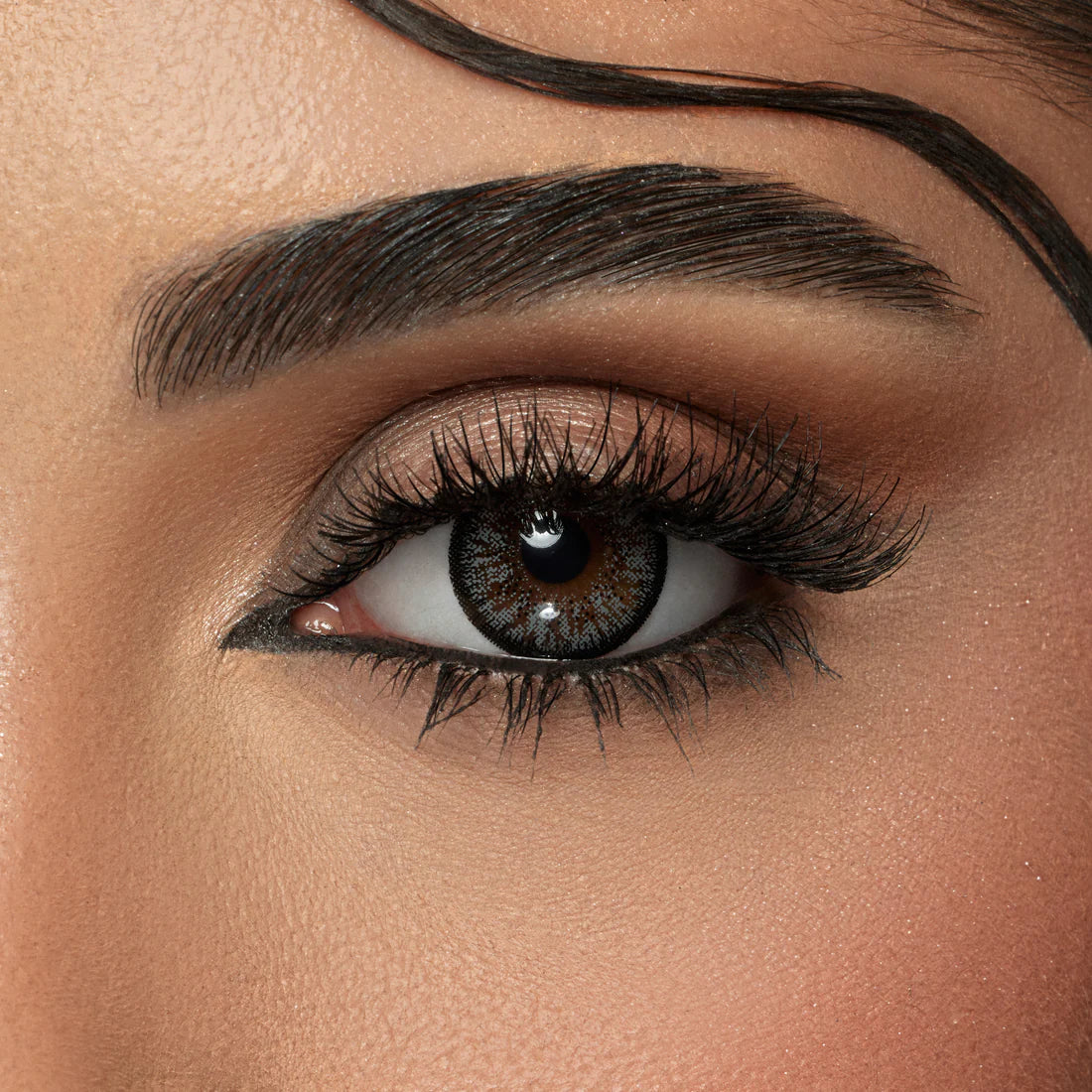 Color lenses Charcoal Gray