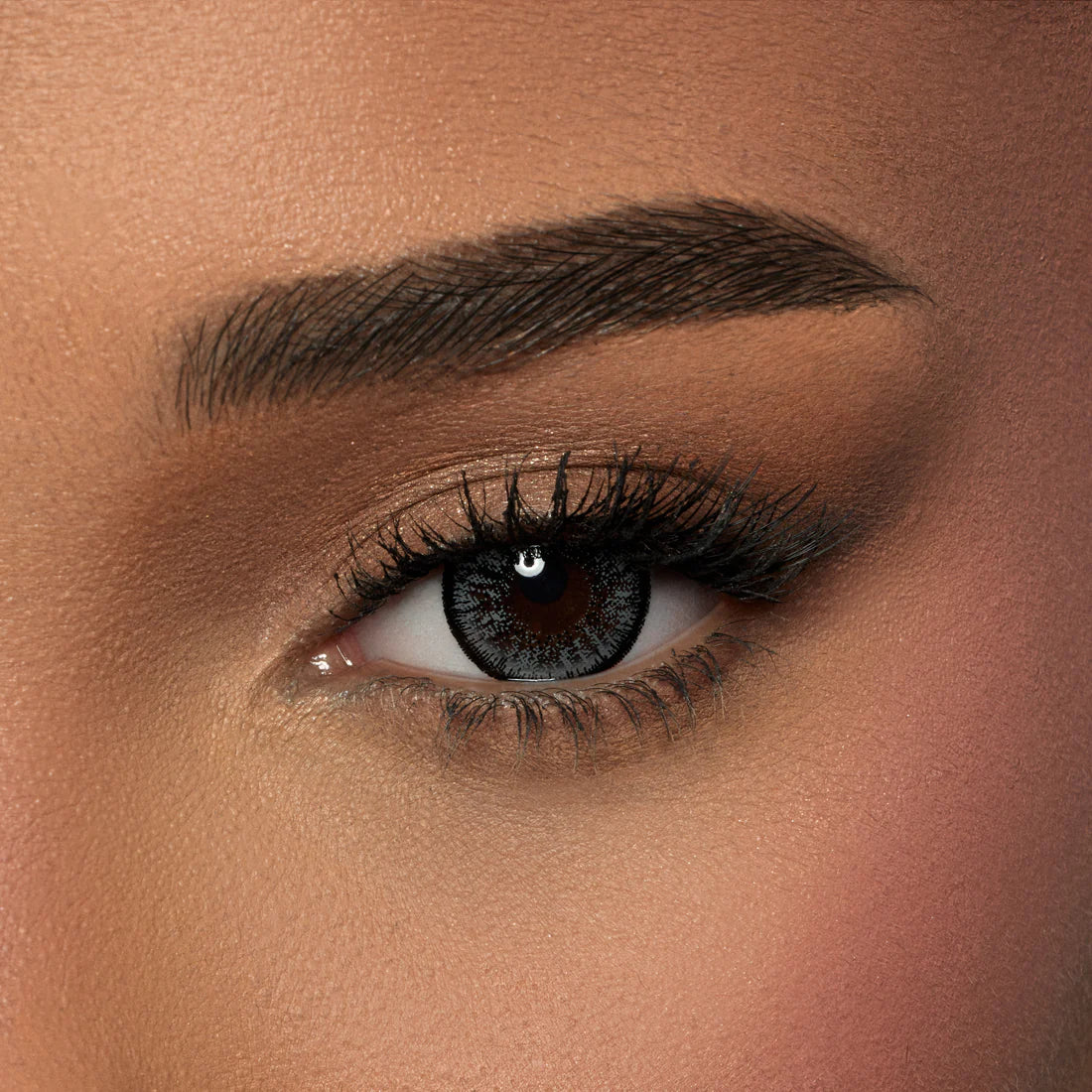 Color lenses Charcoal Gray