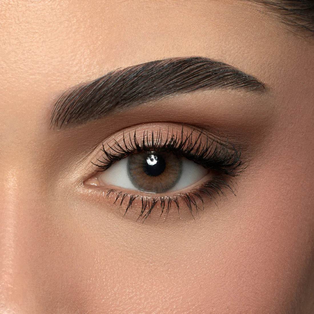 Color lenses Steel Gray