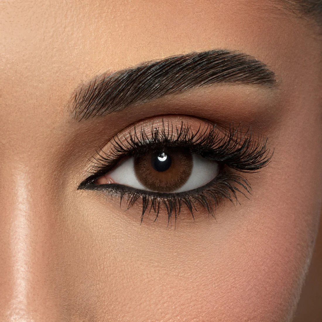 Color lenses Burned Cinnamon