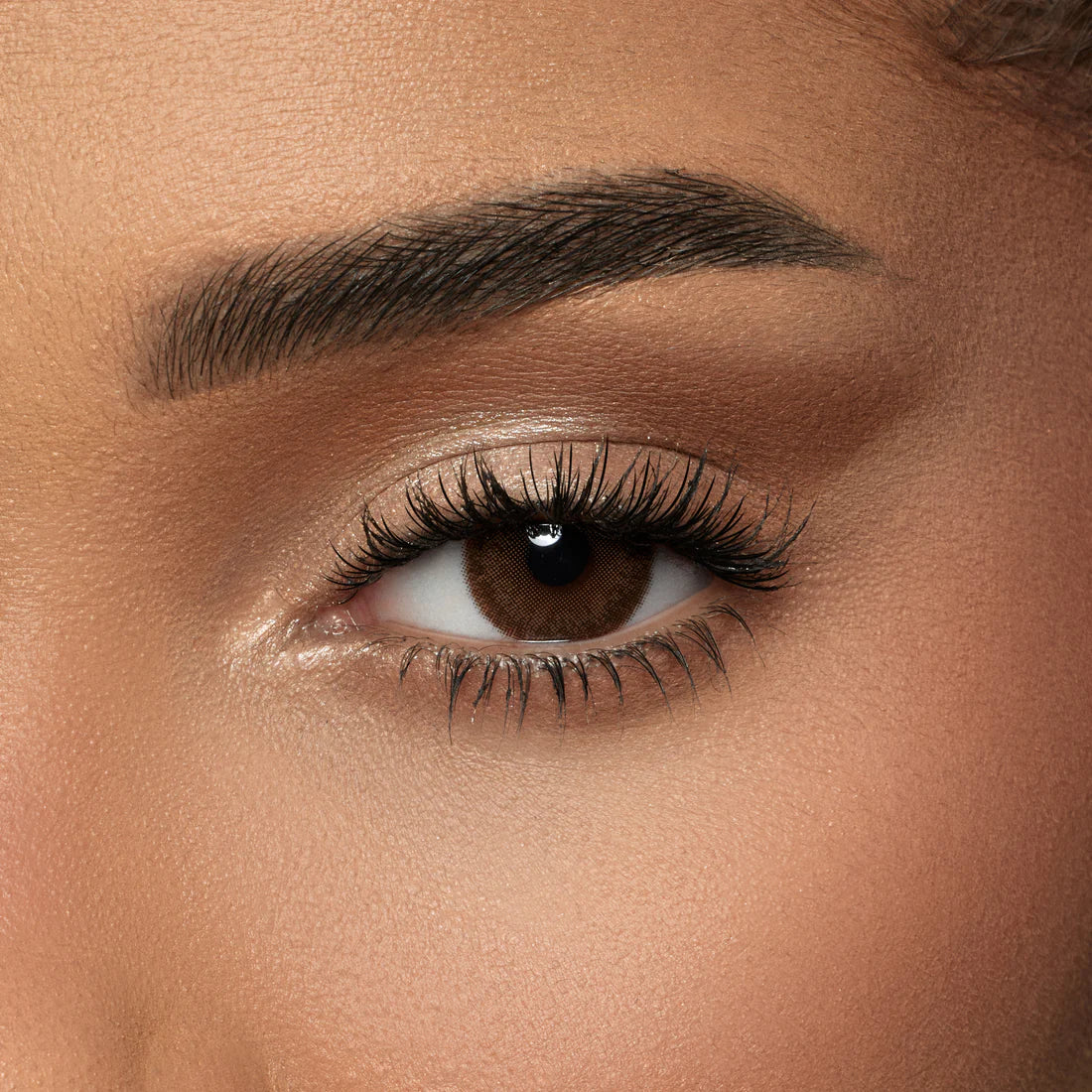 Color lenses Burned Cinnamon