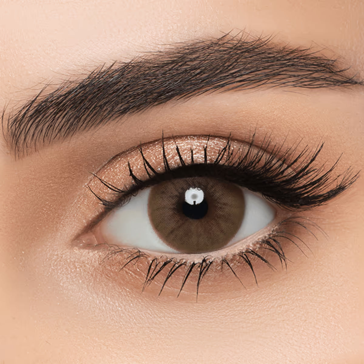 Monthly Color Contact Lenses - Latte