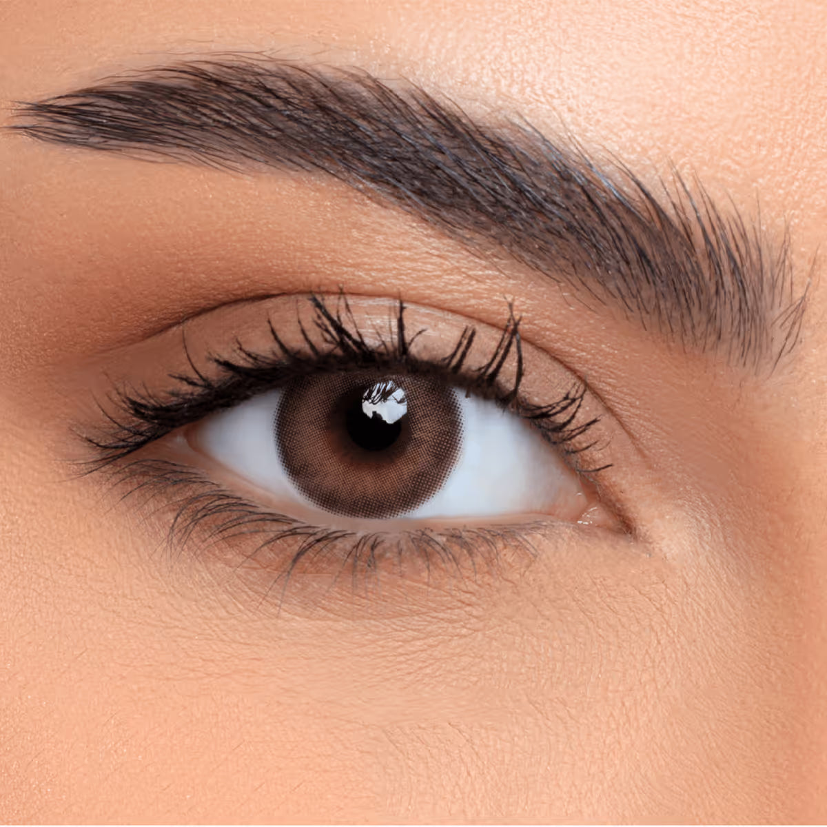 عدسات لاصقة ملونة للإستخدام الشهري - أوبال