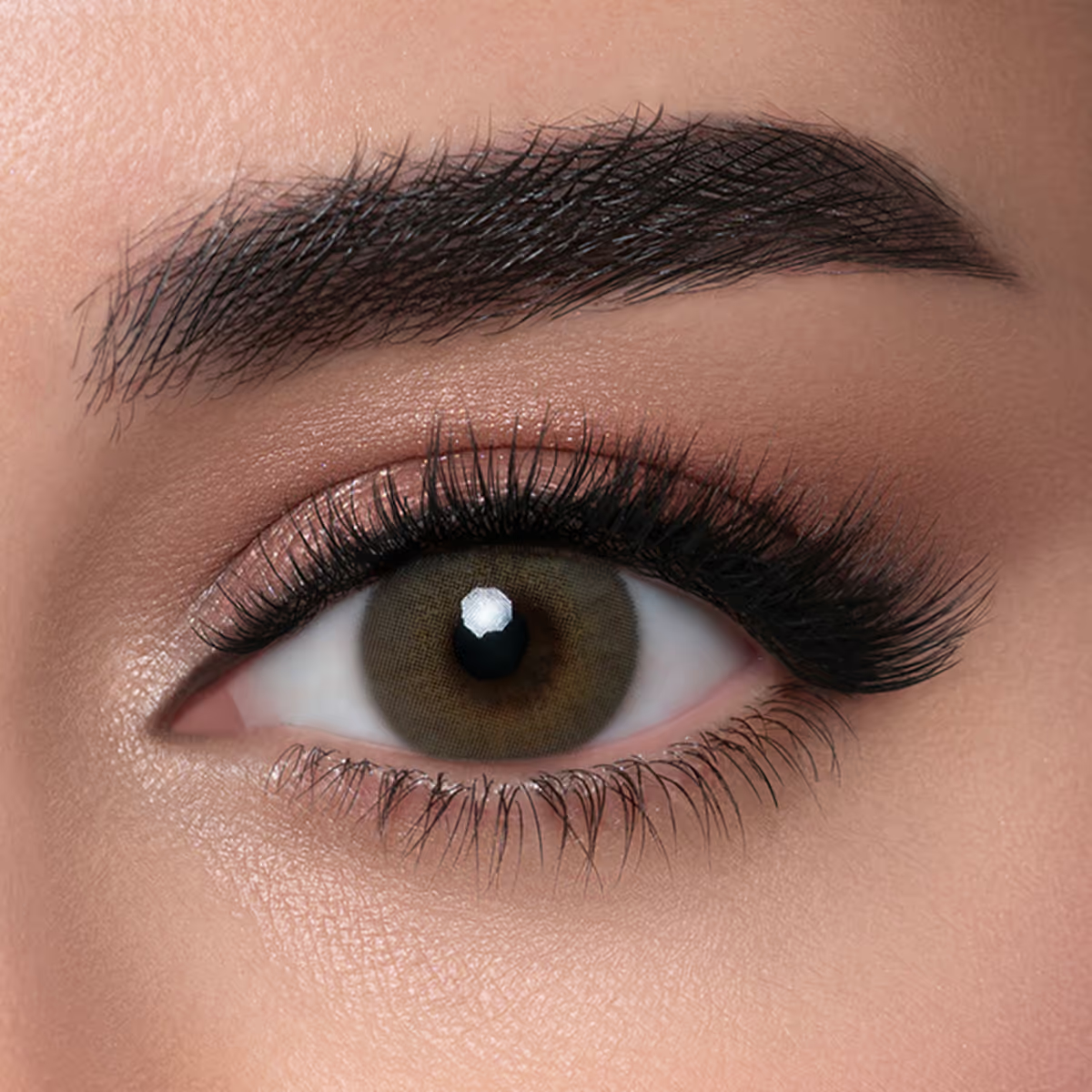 عدسات لاصقة ملونة للإستخدام الشهري - بيتروليوم