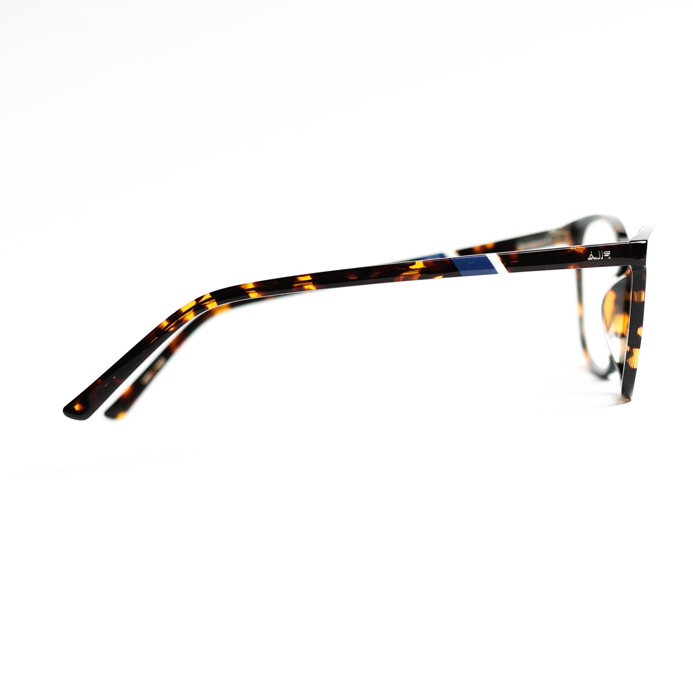 Round Tortoise Eyeglasses