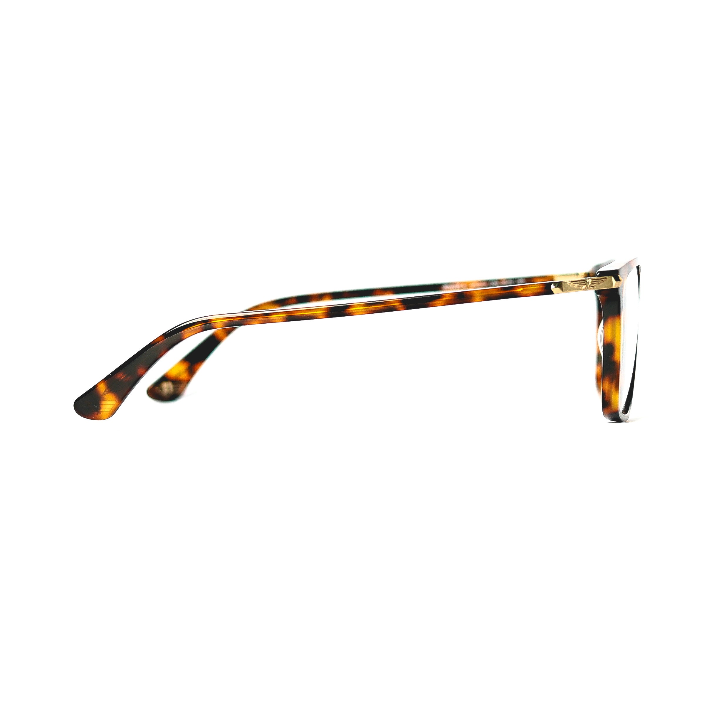 Square Tortoise Eyeglasses