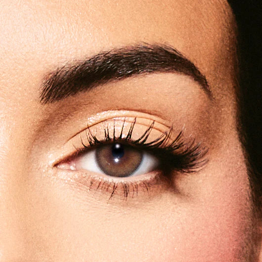 Color lenses monthly