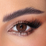 Color lenses monthly