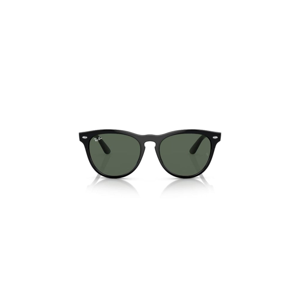 Classic Black Sunglasses