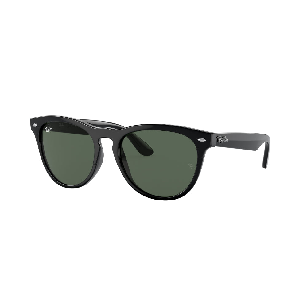 Classic Black Sunglasses