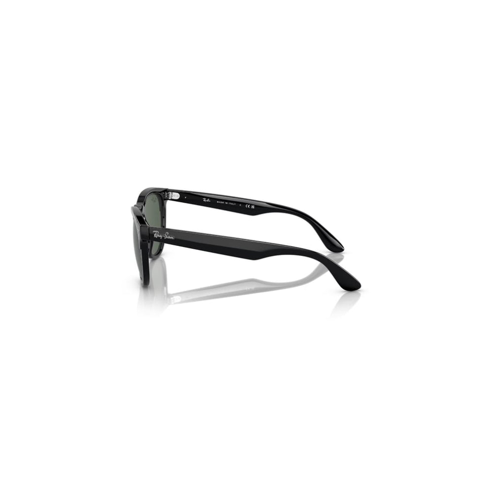 Classic Black Sunglasses