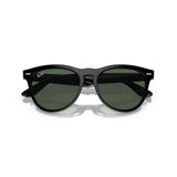 Classic Black Sunglasses